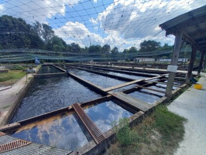 À la rencontre de nos fournisseurs : La Pisciculture du Ciron